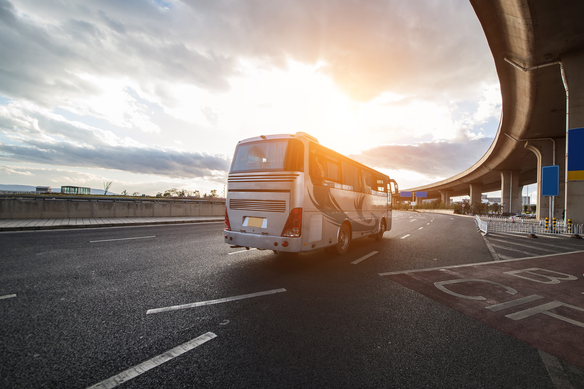 Home white coach