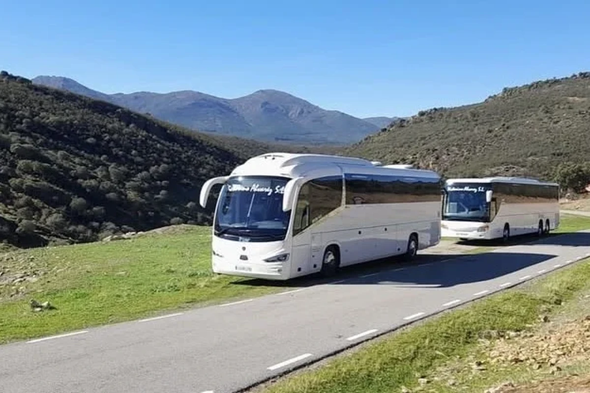 servicio 8