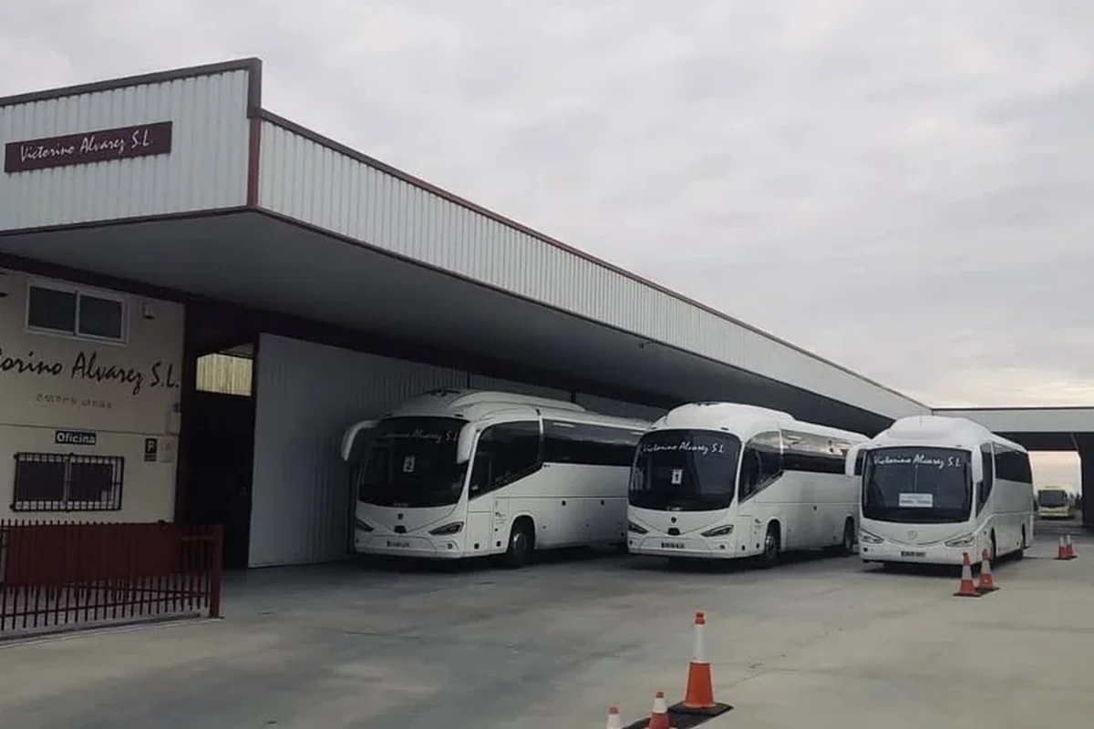 servicio 6